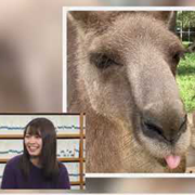 国際教養こども学科の動画を公開しました。