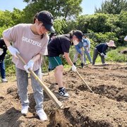 １年生　サツマイモの苗植えをしました