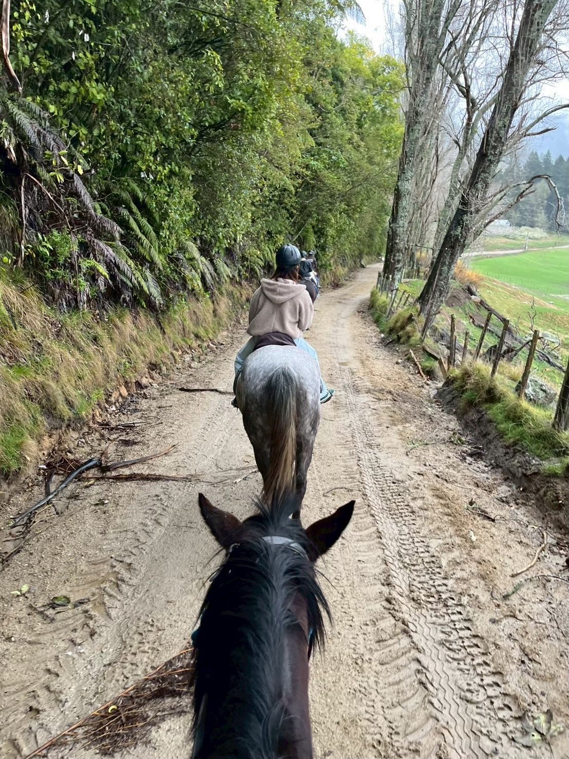 充実の1年生NZ研修レポート