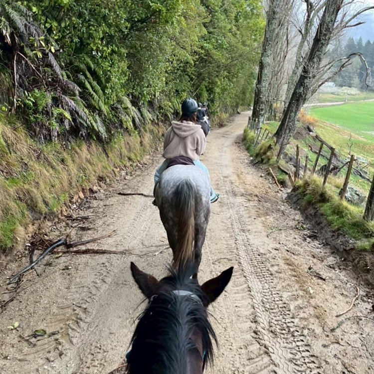 充実の1年生NZ研修レポート