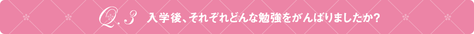 Q3 入学後、それぞれどんな勉強をがんばりましたか？