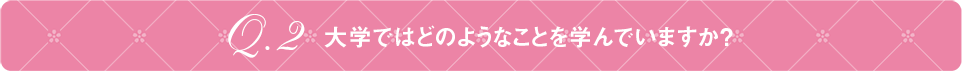 Q2 大学ではどのようなことを学んでいますか？