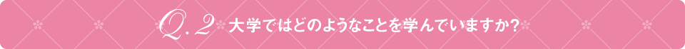 Q2 大学ではどのようなことを学んでいますか？